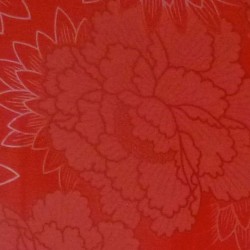 2013 SCHWARZ / ROT